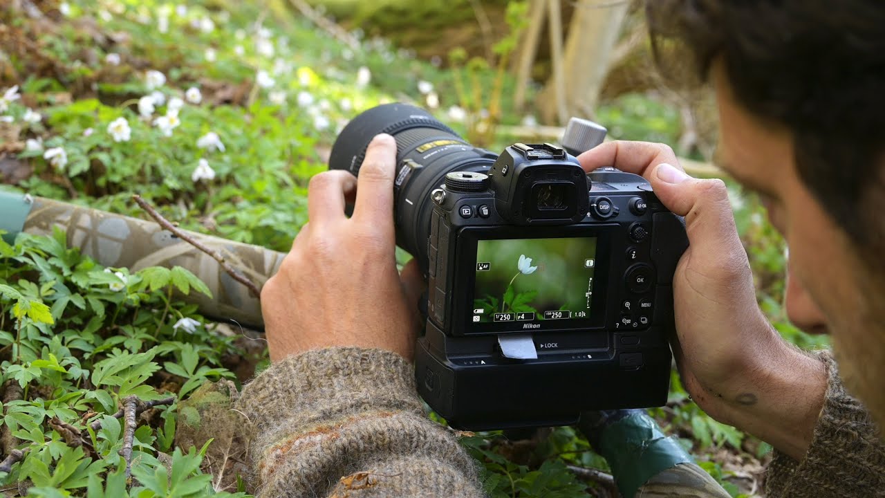 Photo tips for successful macro photography