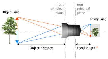 Fixed focal length vs. Zoom?