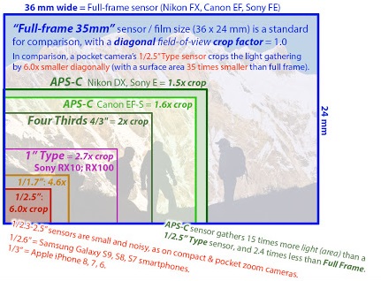 Compare digital camera sensor sizes: 1″-Type, 4/3, APS-C, full