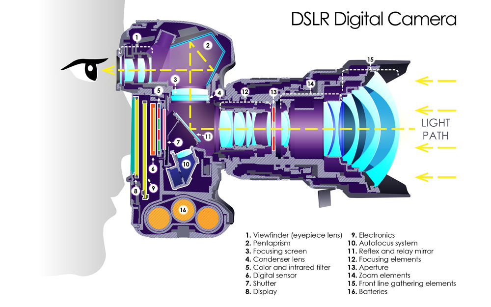 Do you know what is inside Your DSLR