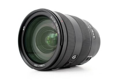Sony SEL STF100mm f/2.8 STF OSS GM Lens