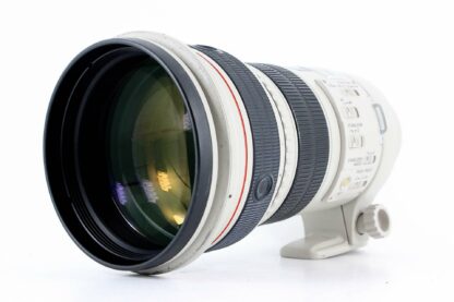 Canon EF 300mm F/2.8 IS L USM Lens