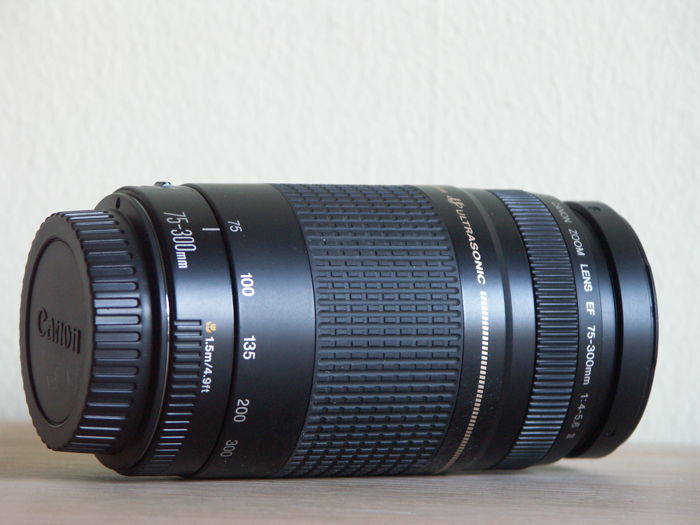 Canon Ef 75 300mm F 4 5 6 Ii Usm Lens Lenses And Cameras