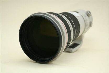 Canon EF 500mm f/4 L IS USM Lens
