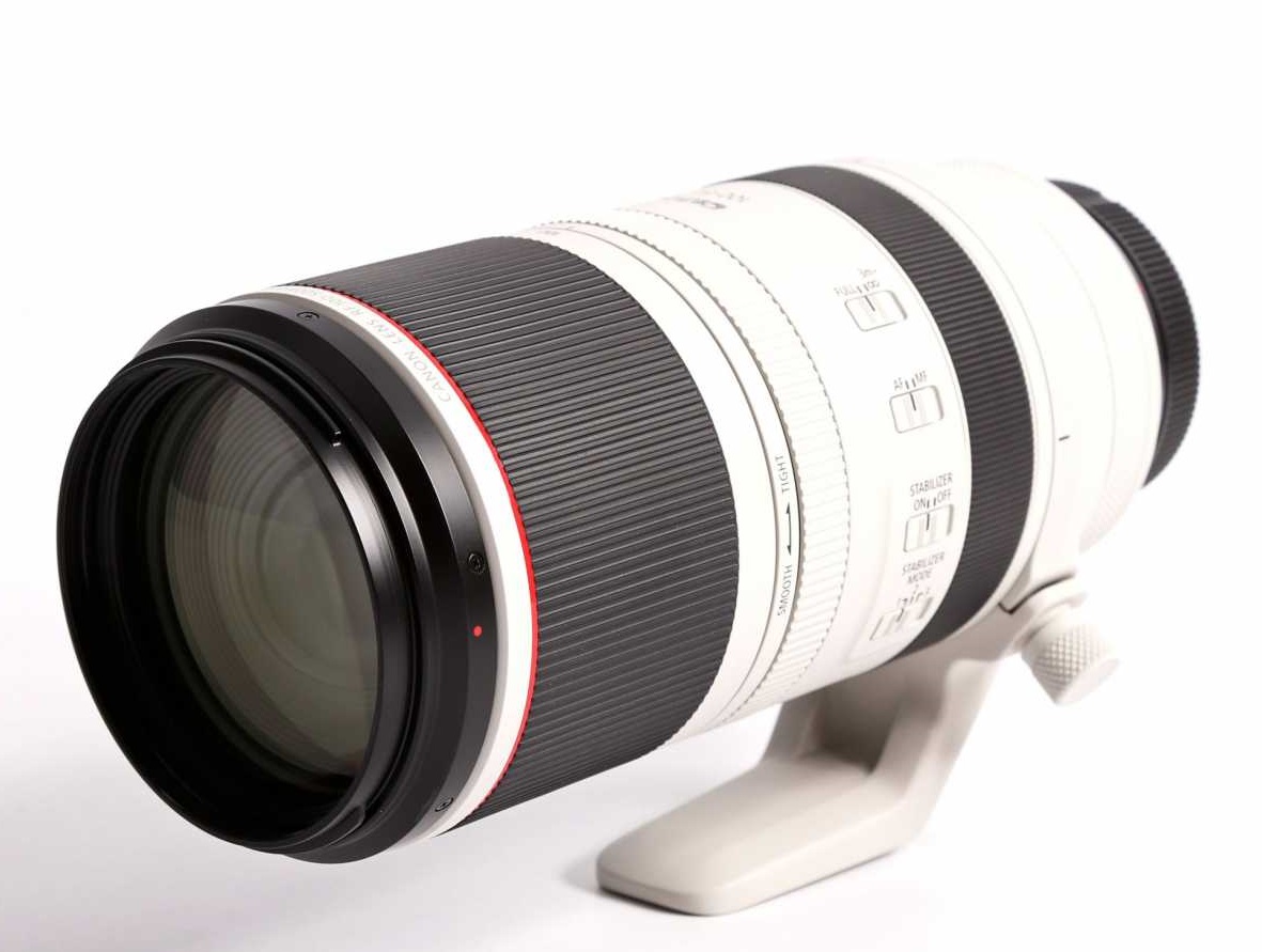 Canon RF 100-500mm F/4.5-7.1L IS USM Lens - Lenses And Cameras