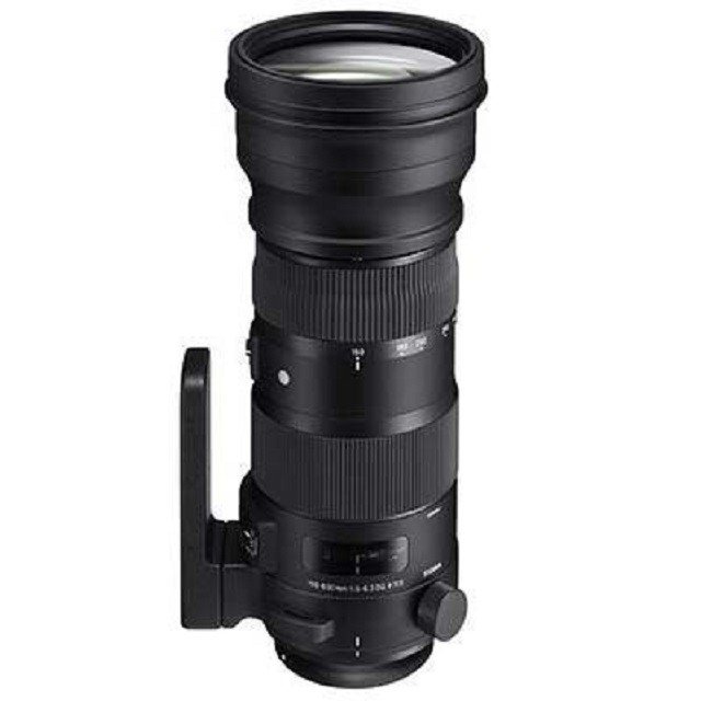 Sigma 150-600mm f/5-6.3 DG OS HSM SPORT AF Nikon Lens
