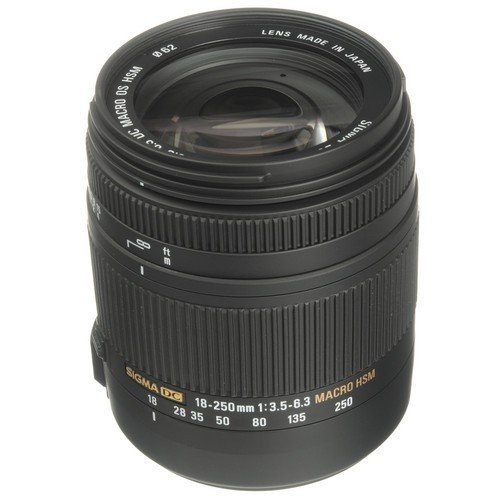 Sigma 18-250mm f/3.5-6.3 DC OS Macro HSM for Canon EF-S Fit Lens