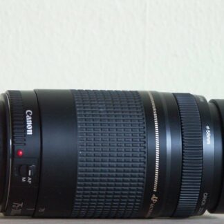 Canon EF 75-300mm f/4-5.6 II USM Lens