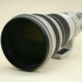Canon EF 500mm f/4 L IS USM Lens